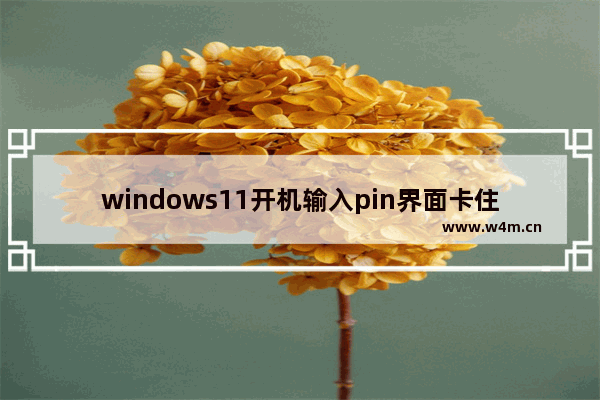 windows11开机输入pin界面卡住怎么办 windows11开机输入pin界面卡住解决办法