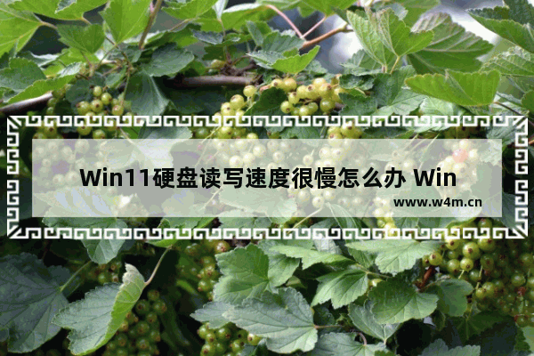 Win11硬盘读写速度很慢怎么办 Win11硬盘读写速度很慢的解决方法