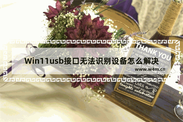 Win11usb接口无法识别设备怎么解决 Win11usb接口无法识别设备解决教程