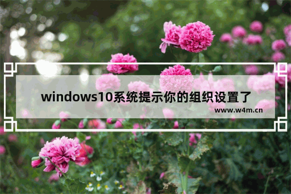 windows10系统提示你的组织设置了一些管理更新的策略怎么解决