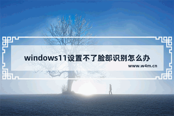 windows11设置不了脸部识别怎么办 windows11设置不了脸部识别解决办法