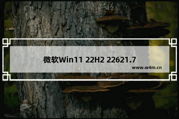 微软Win11 22H2 22621.754(KB5018496)RP测试版推送了