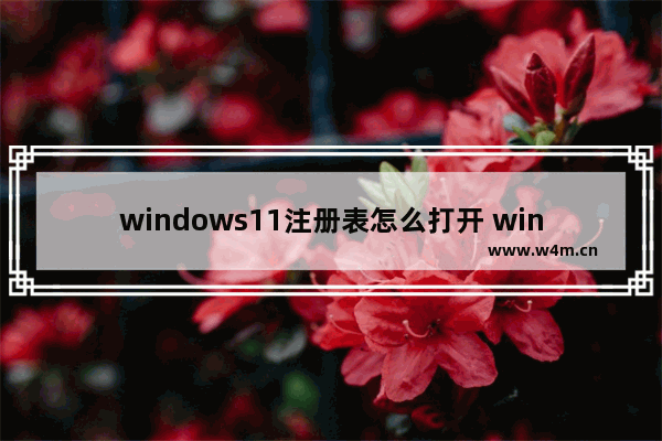 windows11注册表怎么打开 windows11注册表打开方法