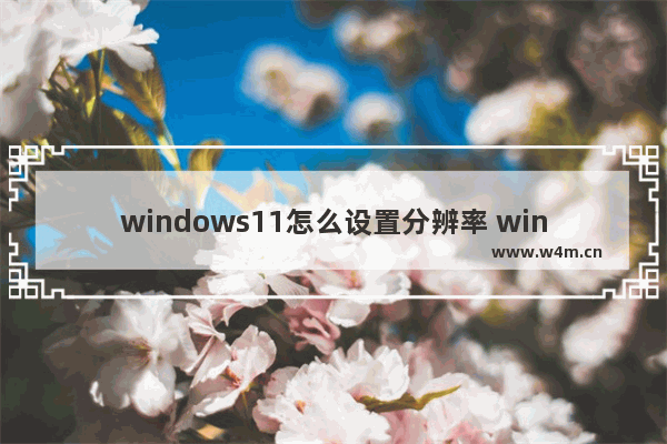 windows11怎么设置分辨率 windows11设置分辨率教程