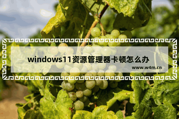 windows11资源管理器卡顿怎么办 windows11资源管理器卡顿解决办