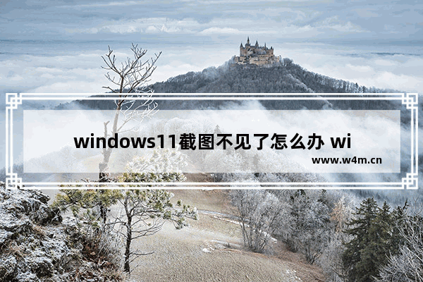 windows11截图不见了怎么办 windows11截图不见了解决办法