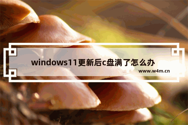 windows11更新后c盘满了怎么办 windows11更新后c盘满了解决办法