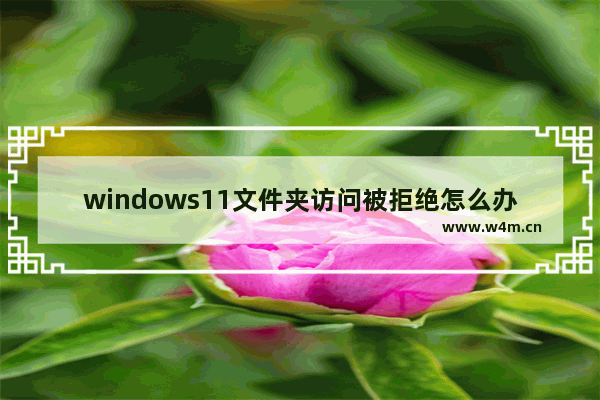 windows11文件夹访问被拒绝怎么办 windows11文件夹访问被拒绝解决办法