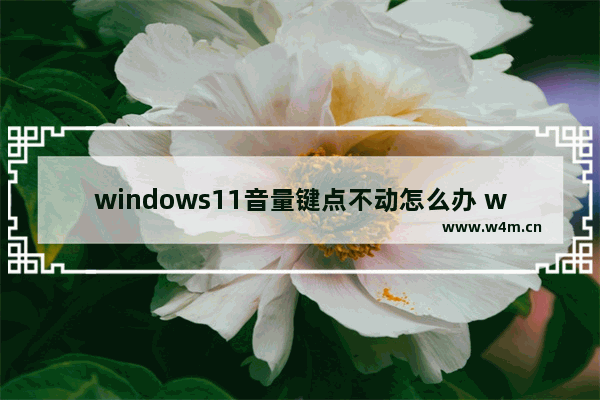 windows11音量键点不动怎么办 windows11音量键点不动解决办法