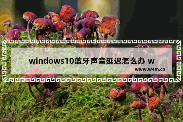 windows10蓝牙声音延迟怎么办 windows10蓝牙声音延迟卡顿解决方法