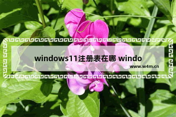 windows11注册表在哪 windows11注册表位置介绍