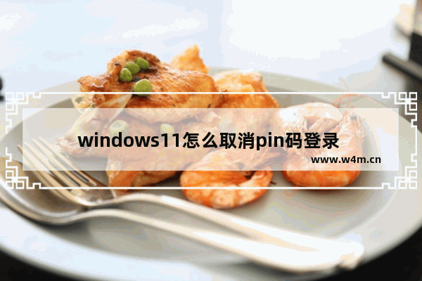 windows11怎么取消pin码登录 windows11取消pin码登录方法