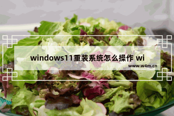 windows11重装系统怎么操作 windows11重装系统操作教程