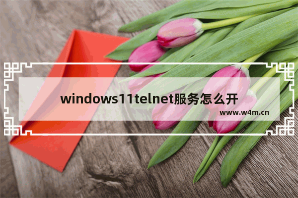 windows11telnet服务怎么开启 windows11telnet服务开启教程