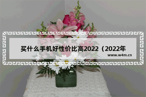 买什么手机好性价比高2022（2022年最值得入手的手机推荐）