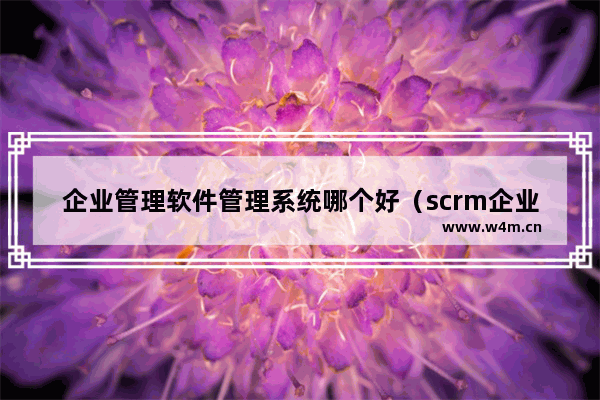 企业管理软件管理系统哪个好（scrm企业微信管理系统的功能是什么）