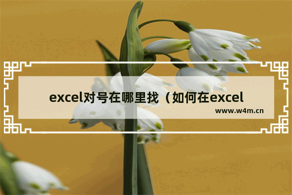 excel对号在哪里找（如何在excel中快速输入特殊符号）