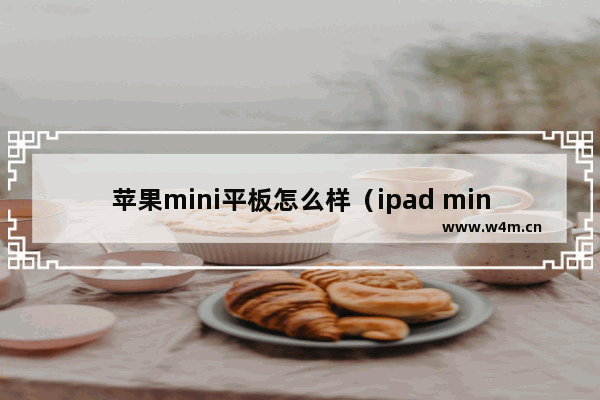 苹果mini平板怎么样（ipad mini6日常使用感受）