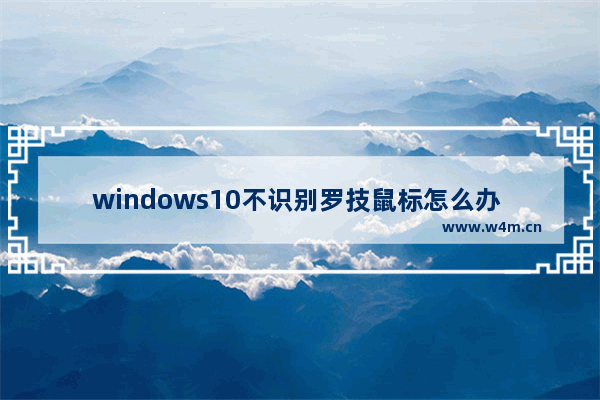 windows10不识别罗技鼠标怎么办 罗技鼠标windows10无法识别的解决办法