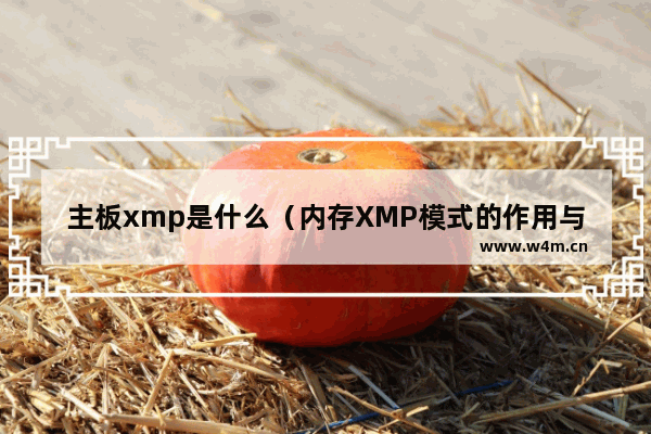 主板xmp是什么（内存XMP模式的作用与开启教程）