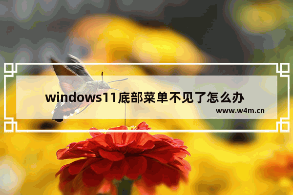 windows11底部菜单不见了怎么办 windows11底部菜单不见了解决办法