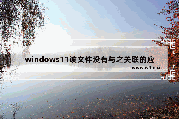 windows11该文件没有与之关联的应用怎么办 windows11该文件没有与之关联的应用解决办法