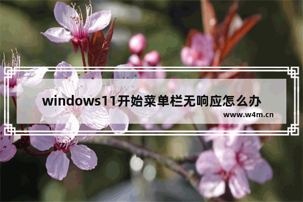 windows11开始菜单栏无响应怎么办 windows11开始菜单栏无响应解决办法