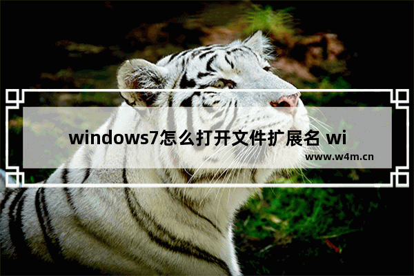 windows7怎么打开文件扩展名 windows7如何打开文件扩展名