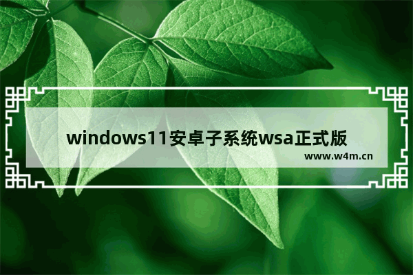 windows11安卓子系统wsa正式版上线啦