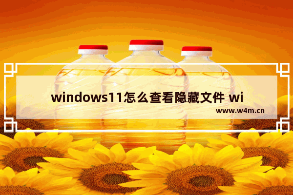 windows11怎么查看隐藏文件 windows11查看隐藏文件方法