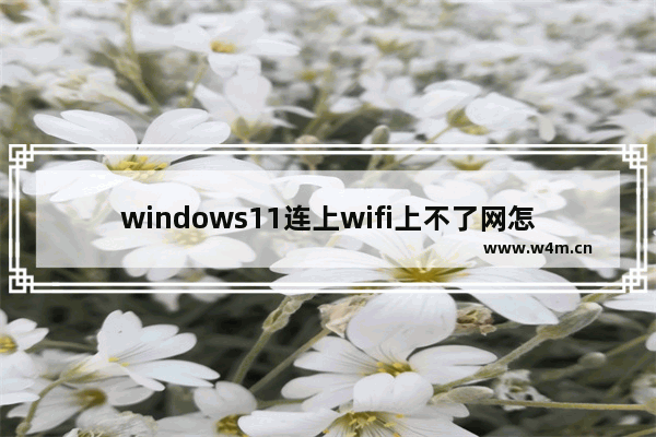 windows11连上wifi上不了网怎么办 windows11连上wifi上不了网解决办法