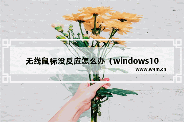 无线鼠标没反应怎么办（windows10鼠标不动的解决方法）