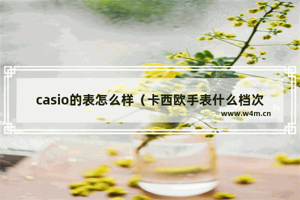 casio的表怎么样（卡西欧手表什么档次）