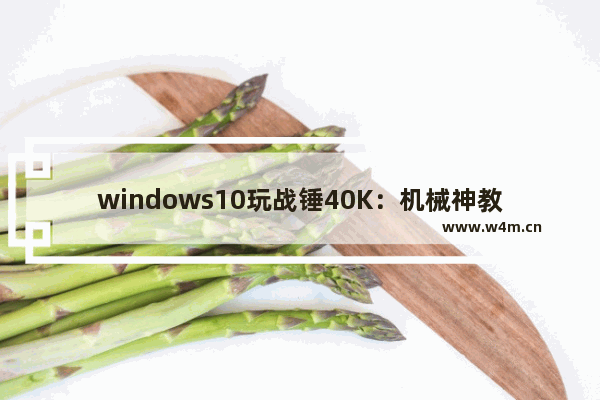 windows10玩战锤40K：机械神教闪退怎么办 windows10玩战锤40K机械神教闪退的解决方法