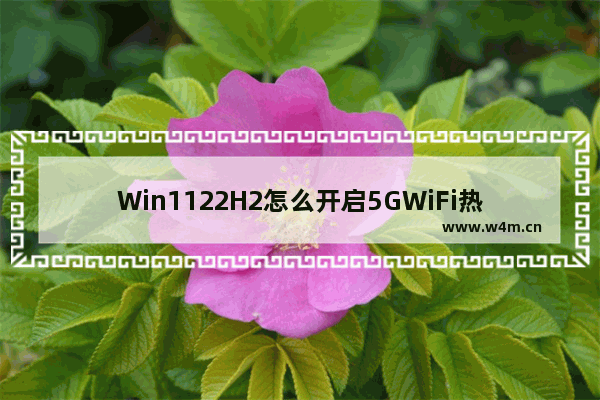 Win1122H2怎么开启5GWiFi热点 Win1122H2开启5GWiFi热点具体步骤