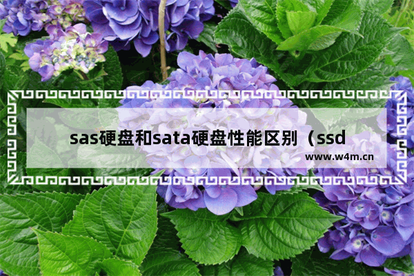 sas硬盘和sata硬盘性能区别（ssd硬盘和sas硬盘哪个性能好）