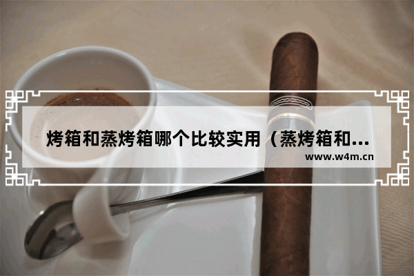 烤箱和蒸烤箱哪个比较实用（蒸烤箱和普通烤箱有什么区别）