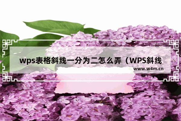 wps表格斜线一分为二怎么弄（WPS斜线表头制作有妙招）