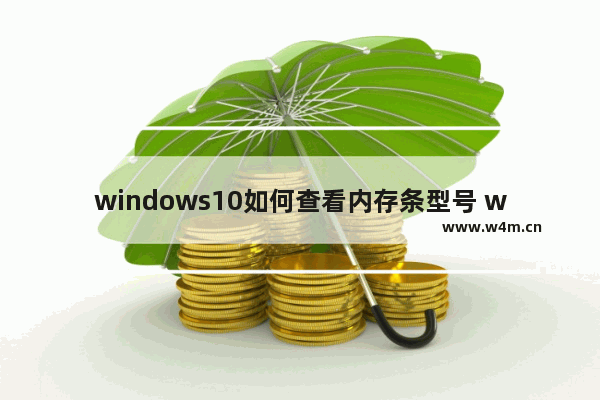 windows10如何查看内存条型号 windows10查看内存条型号的方法