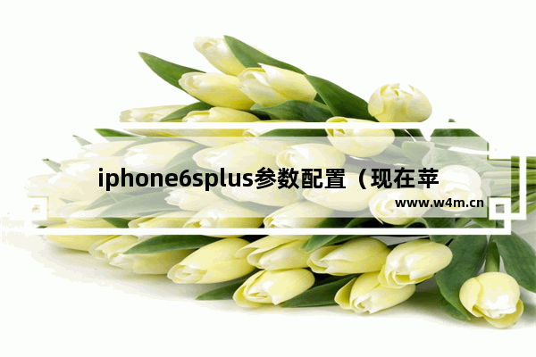 iphone6splus参数配置（现在苹果6splus还值得入手吗）