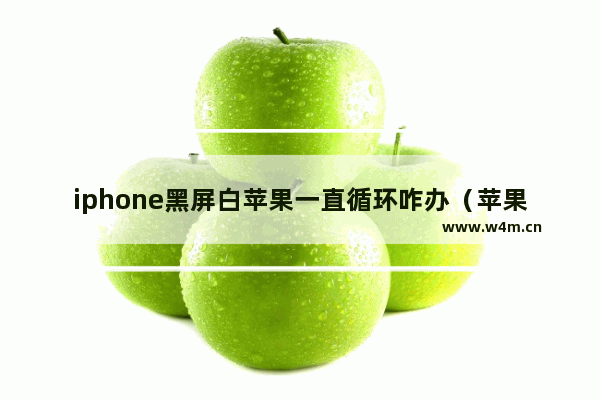 iphone黑屏白苹果一直循环咋办（苹果手机黑屏白屏解决方法）