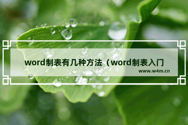 word制表有几种方法（word制表入门基础知识）