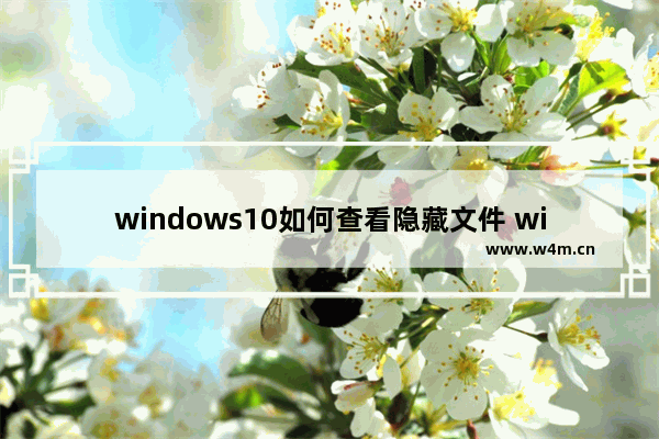 windows10如何查看隐藏文件 windows10查看隐藏文件教学