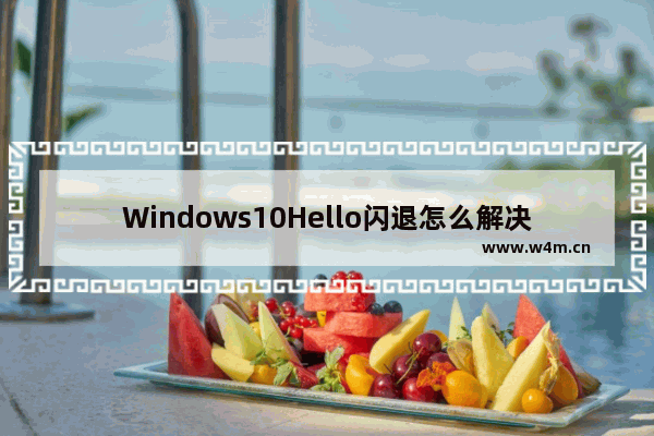 Windows10Hello闪退怎么解决 Windows10Hello闪退的解决方法