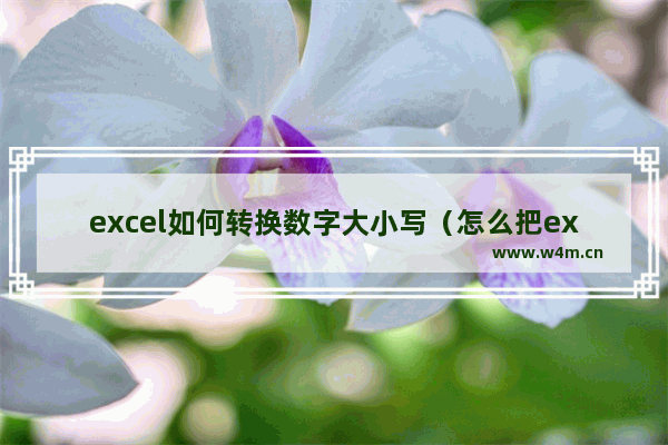 excel如何转换数字大小写（怎么把excel中文数字转换成小写）