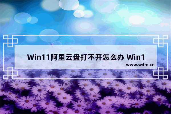 Win11阿里云盘打不开怎么办 Win11阿里云盘闪退的解决方法