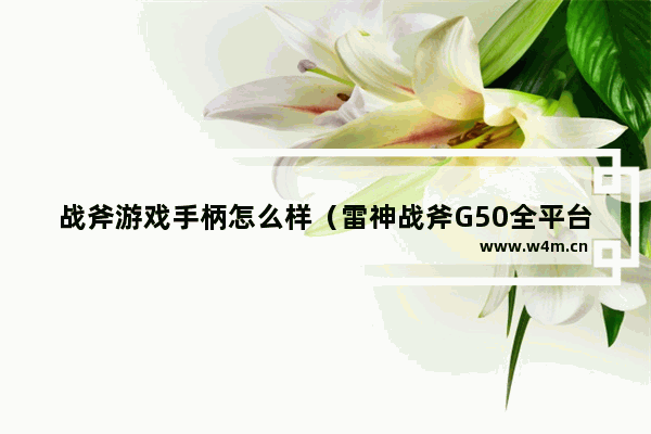 战斧游戏手柄怎么样（雷神战斧G50全平台游戏手柄评测）