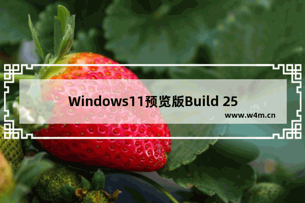 Windows11预览版Build 25227更新了什么 Windows11预览版Build 25227更新内容介绍