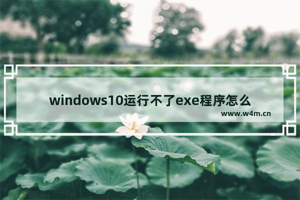 windows10运行不了exe程序怎么办 windows10运行不了exe程序解决办法