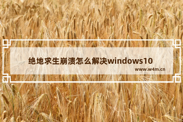 绝地求生崩溃怎么解决windows10 绝地求生崩溃解决办法windows10